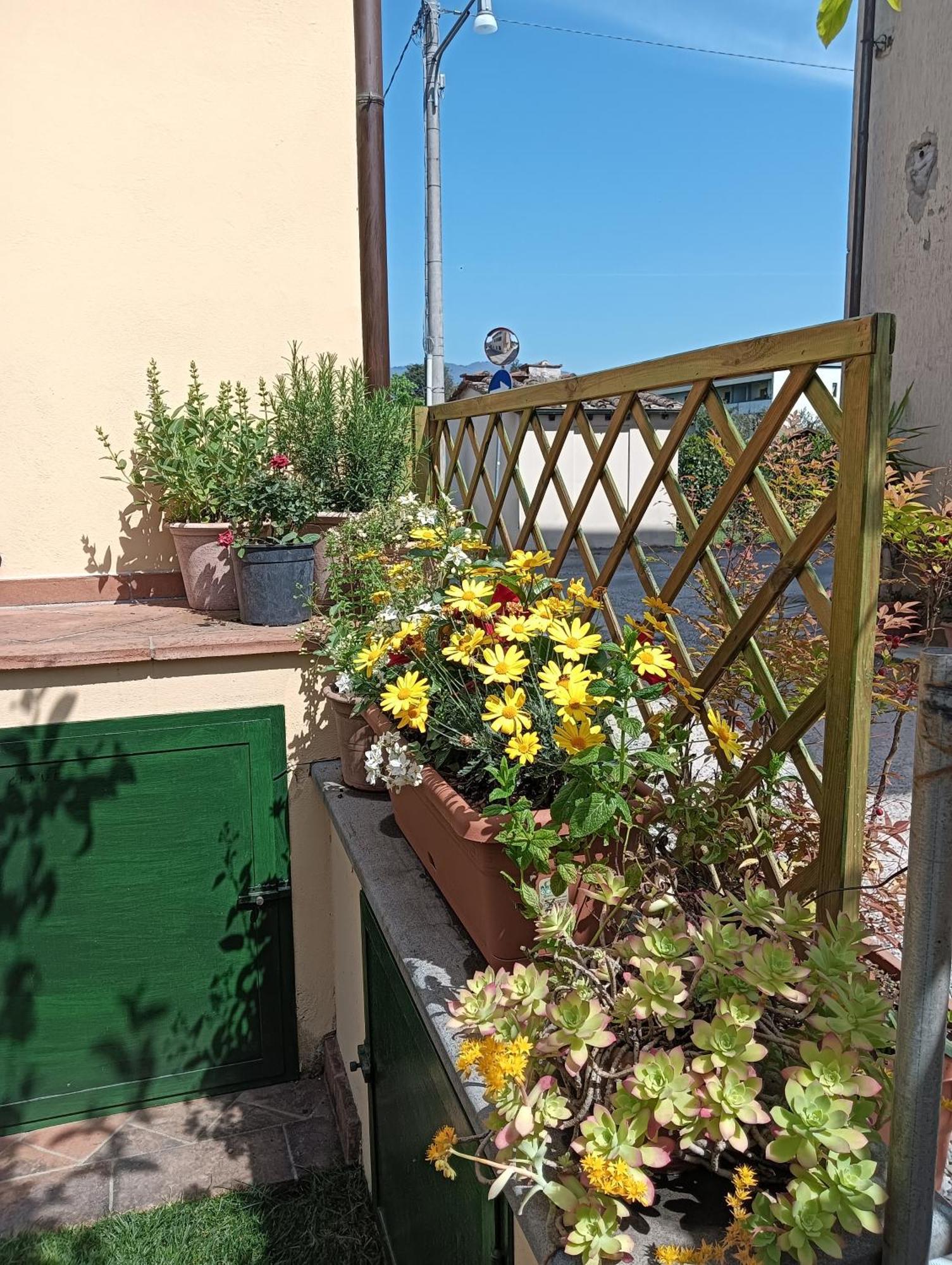 Casa Vacanze Rustico Di Corte Capannori Zewnętrze zdjęcie