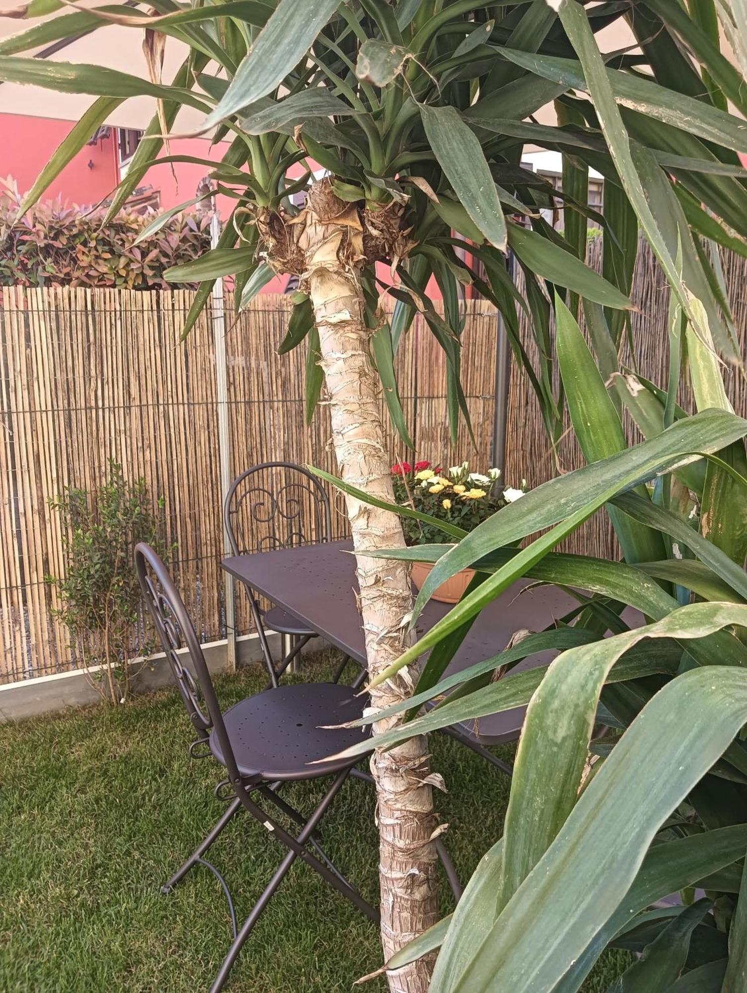 Casa Vacanze Rustico Di Corte Capannori Zewnętrze zdjęcie