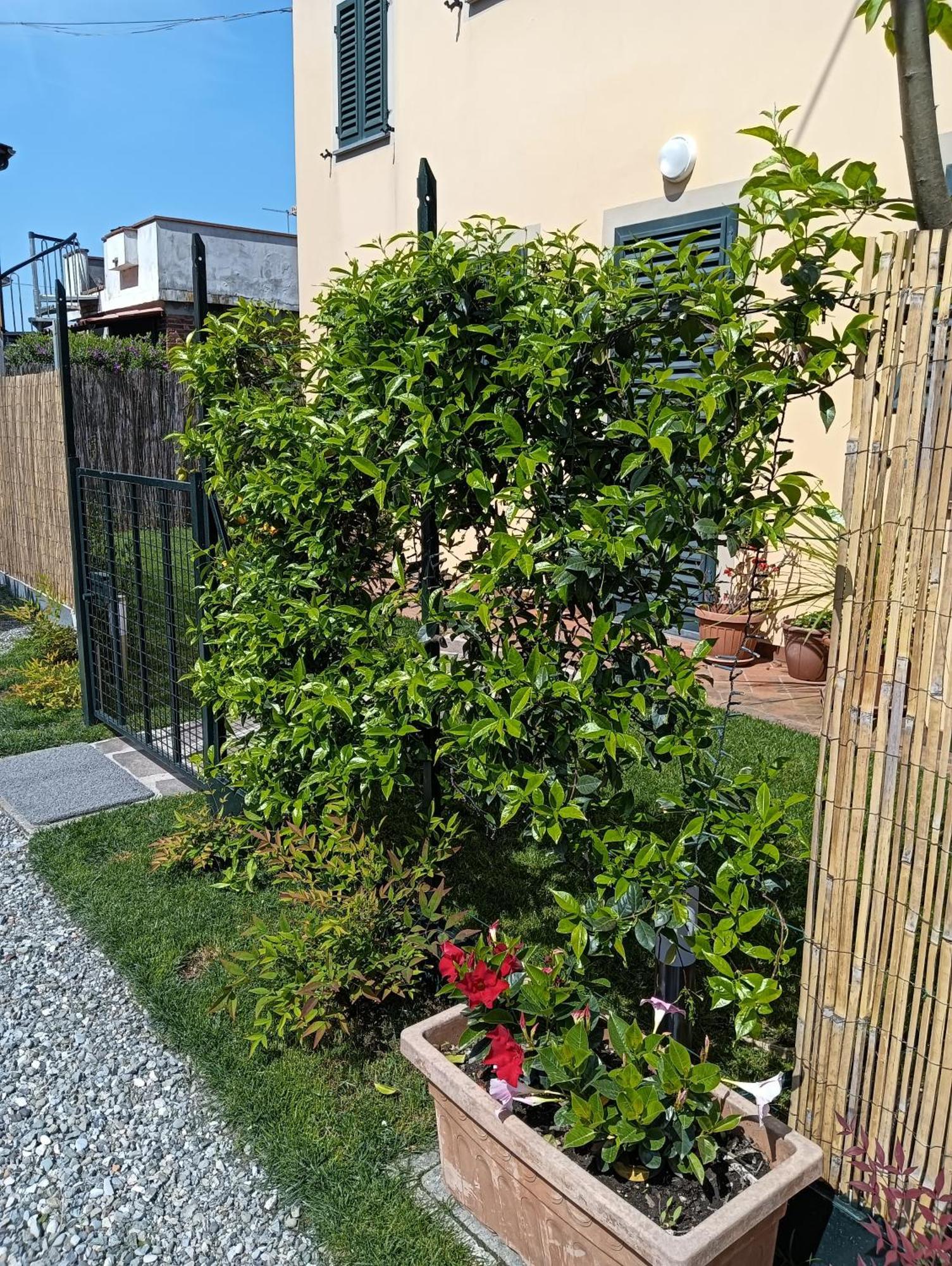 Casa Vacanze Rustico Di Corte Capannori Zewnętrze zdjęcie
